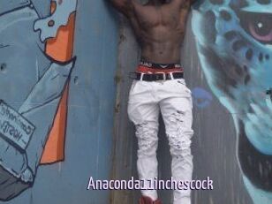 Anaconda11inchescock