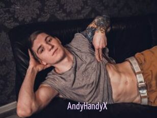 AndyHandyX