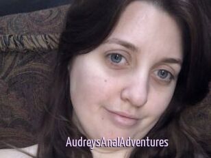 AudreysAnalAdventures