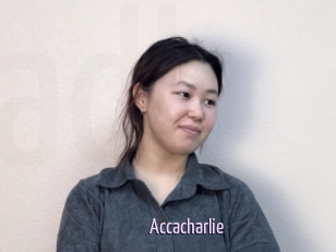 Accacharlie