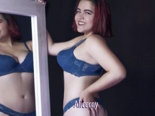 Alicerey