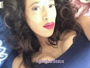 Aminabordeaux