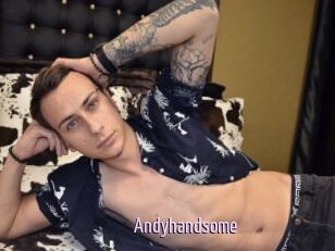 Andyhandsome