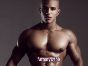 Antonywebb