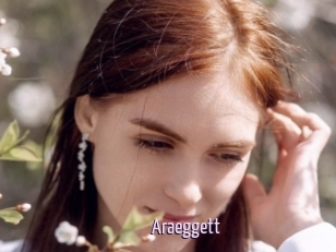 Araeggett