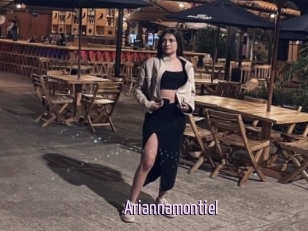 Ariannamontiel