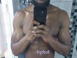 Bigdbull