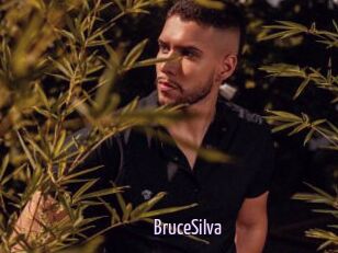 BruceSilva