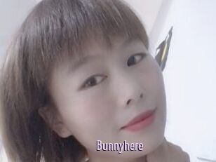 Bunnyhere