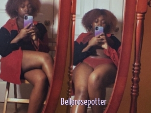 Bellarosepotter