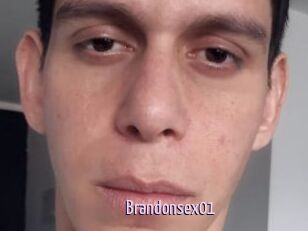 Brandonsex01