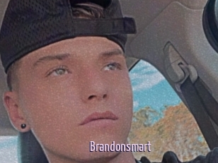 Brandonsmart