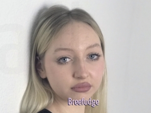 Breefudge