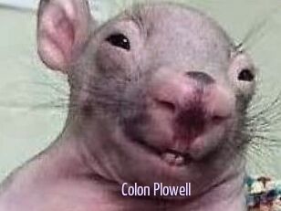 Colon_Plowell