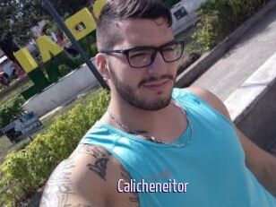 Calicheneitor