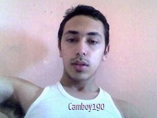 Camboy190