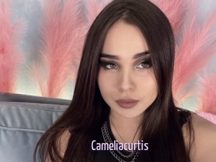 Cameliacurtis