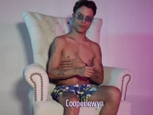 Cooperlewyn