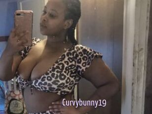 Curvybunny19