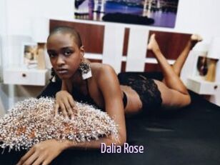 Dalia_Rose