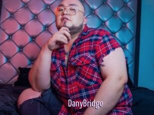 DanyBridge