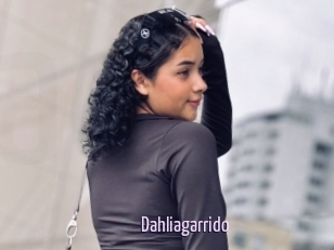 Dahliagarrido