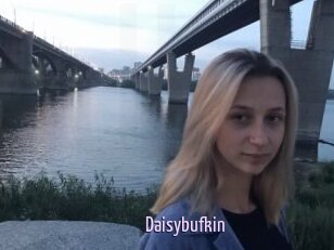 Daisybufkin