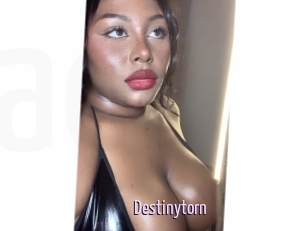 Destinytorn