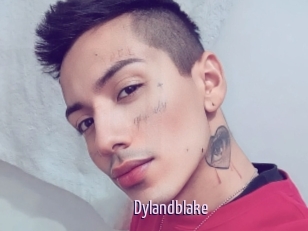 Dylandblake