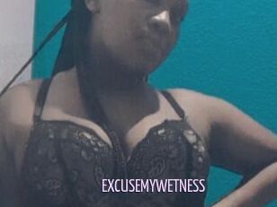 EXCUSEMYWETNESS