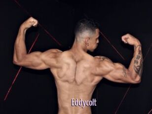 Eddycolt