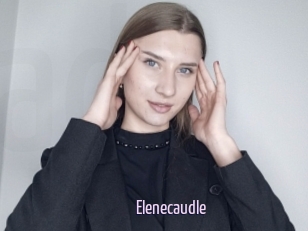 Elenecaudle