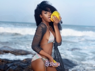 Elishara