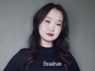 Elvaalison