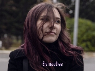 Elvinaatlee