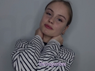 Elwinegambee