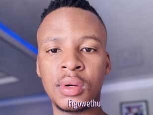 Figowethu