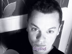 Gayminet