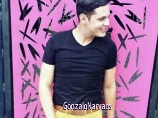 GonzaloNarvaes