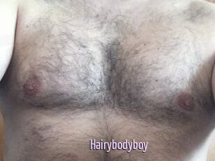 Hairybodyboy