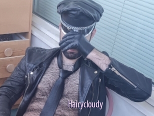 Hairycloudy