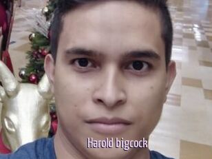 Harold_bigcock