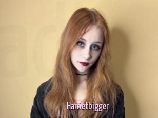 Harrietbigger