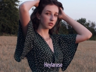 Heylarose