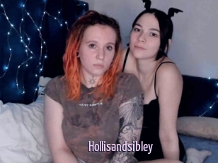 Hollisandsibley