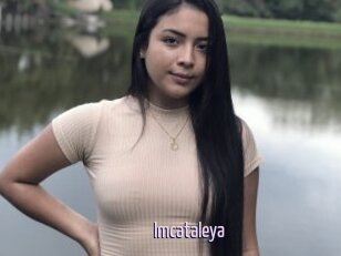 Imcataleya