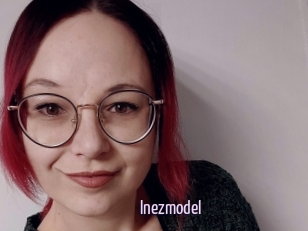 Inezmodel