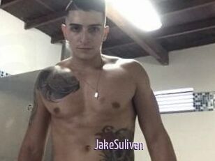 Jake_Sulivan