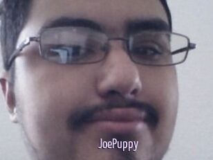 JoePuppy