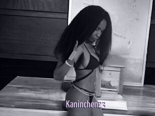 Kaninchen23